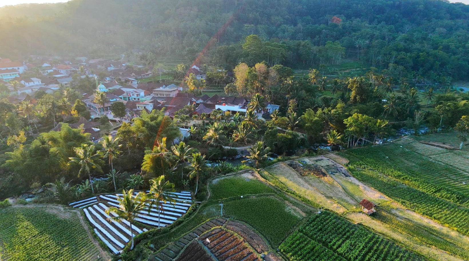 Ardhani Cluster Aruna Riverside Resort